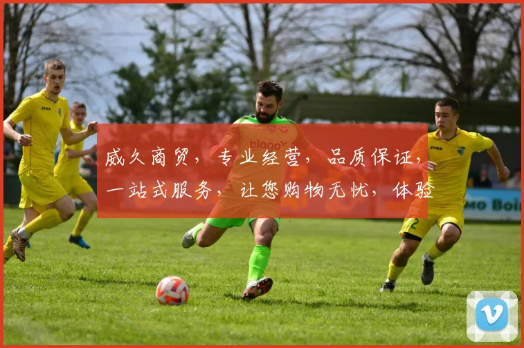 威久商贸，专业经营，品质保证，一站式服务，让您购物无忧，体验非凡