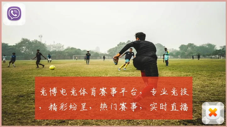 竞博电竞体育赛事平台，专业竞技，精彩纷呈，热门赛事，实时直播，三大亮点，一网打尽