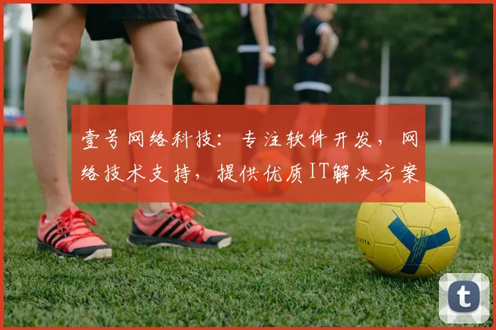 壹号网络科技：专注软件开发，网络技术支持，提供优质IT解决方案，助力企业成长。