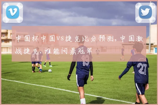 中国杯中国vs捷克比分预测,中国激战捷克,谁能问鼎冠军