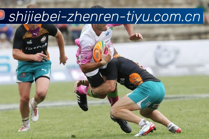奖项3
